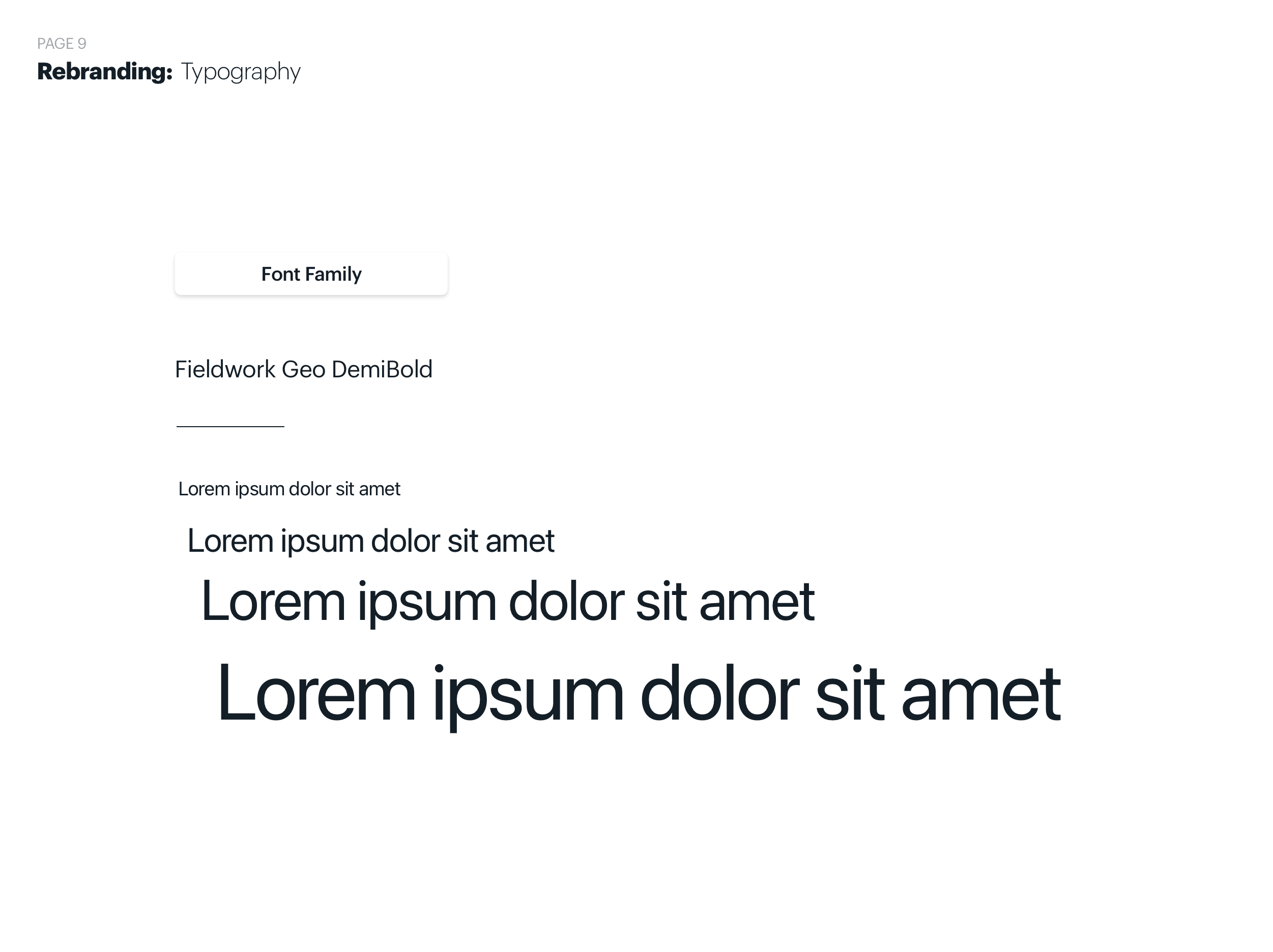 Nir Solar — artifact 10